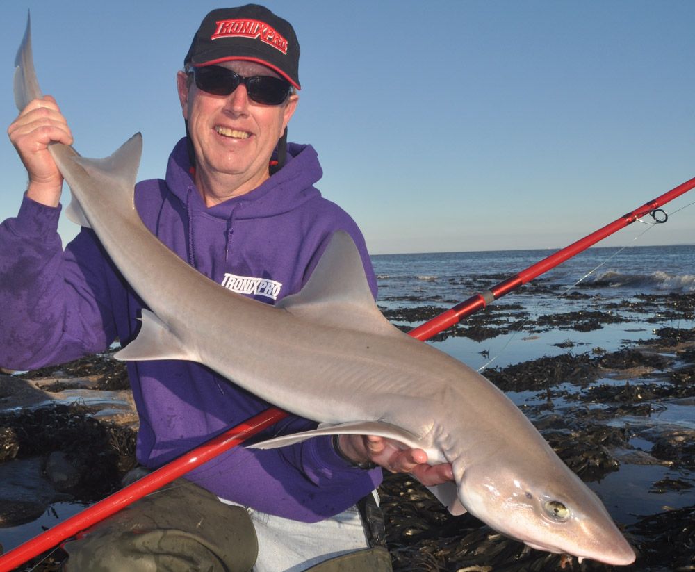 Joe Arch with a smoothhound caught on the Tronixpro Naga MX