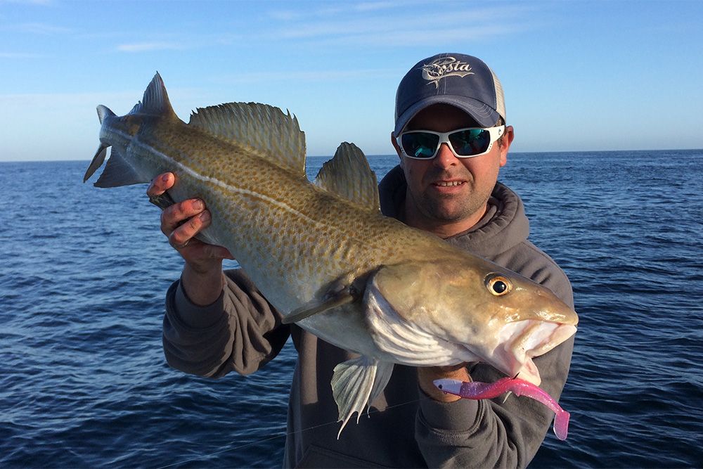 Top Five Cod Lures - Lure Fishing for Cod - TronixFishing