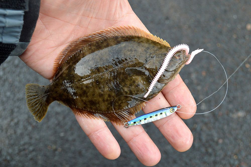 Light Rock Fishing for Flounder