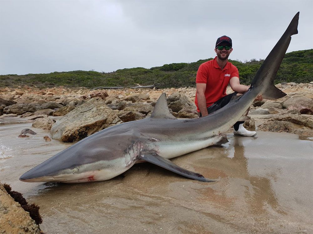 Shark Fishing in South Africa