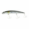 AXIA Ten-Ten - 100mm | 10g | Silver Sardine