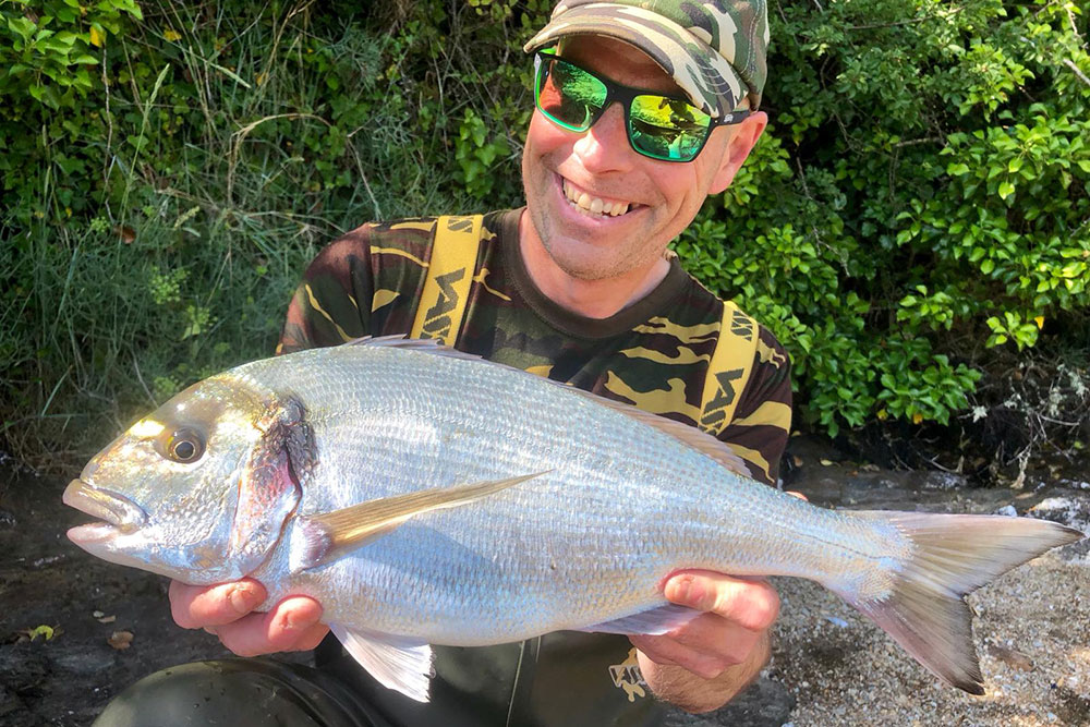 Gilthead Bream Fishing