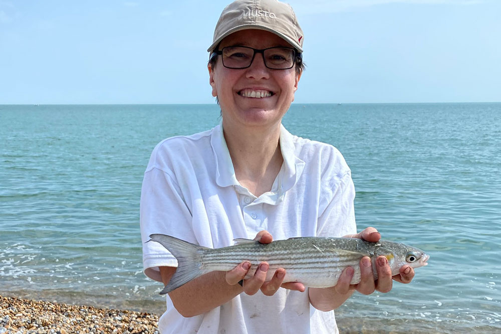 Golden Grey Mullet - Early Start Reaps Rewards - Tronixpro