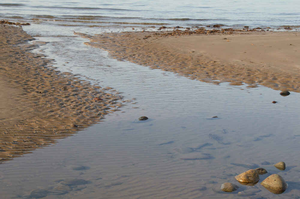 Freshwater stream on beach