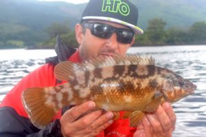 Wrasse Fishing