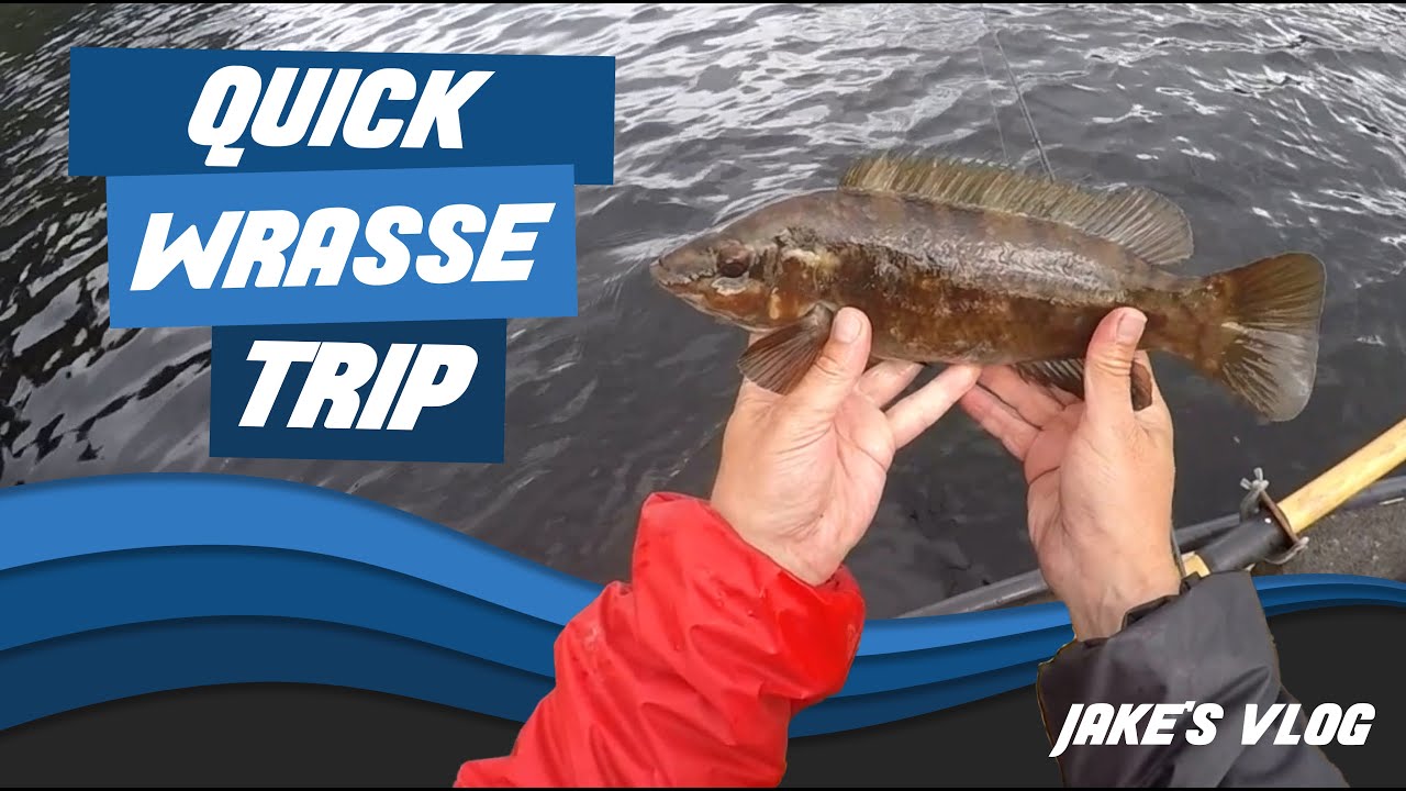 Wrasse Lure Fishing Trip on the West of Scotland with Jake Schogler -  Tronix Fishing