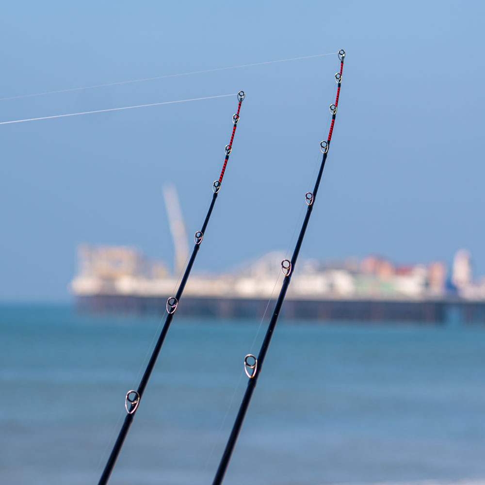 Benefits of Fishing with Two Rods - Tronixpro