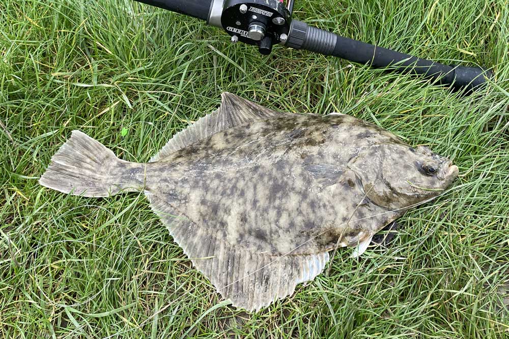 Big Winter Flounder Fishing - Simple Fishing Guide - Tronixpro