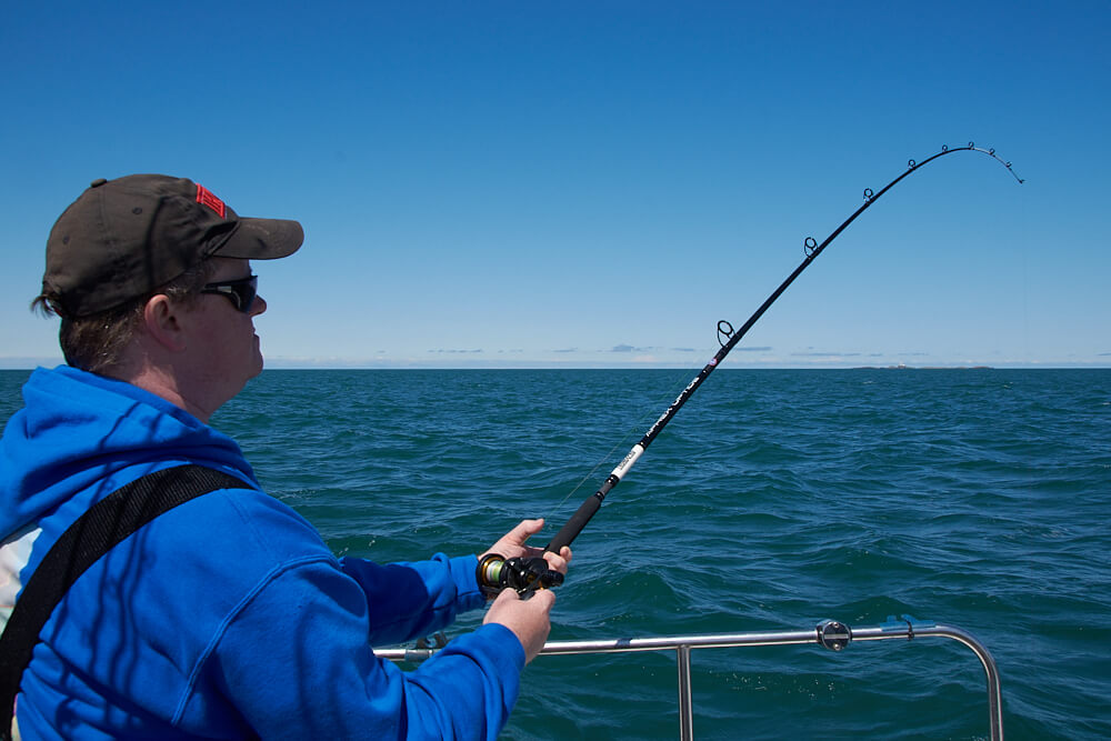Tips and Tricks for Uptide Fishing - Tronixpro