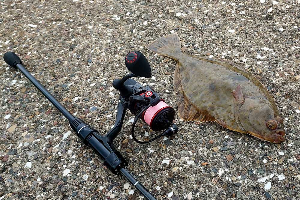 Light Lure Flatfish Fishing in Bridlington