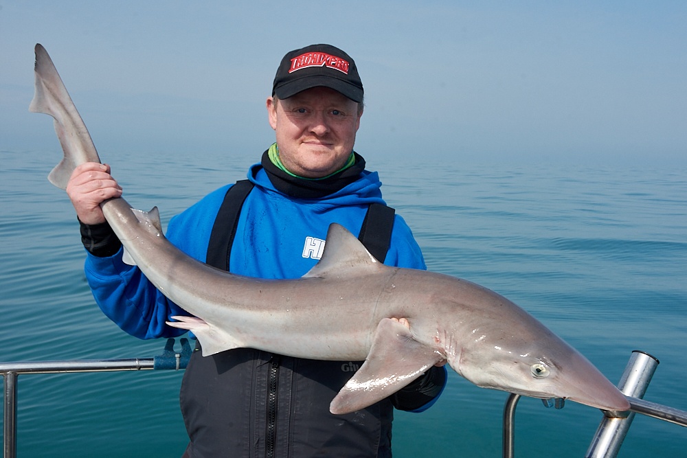 Boat Fishing for Tope - Tronix Fishing