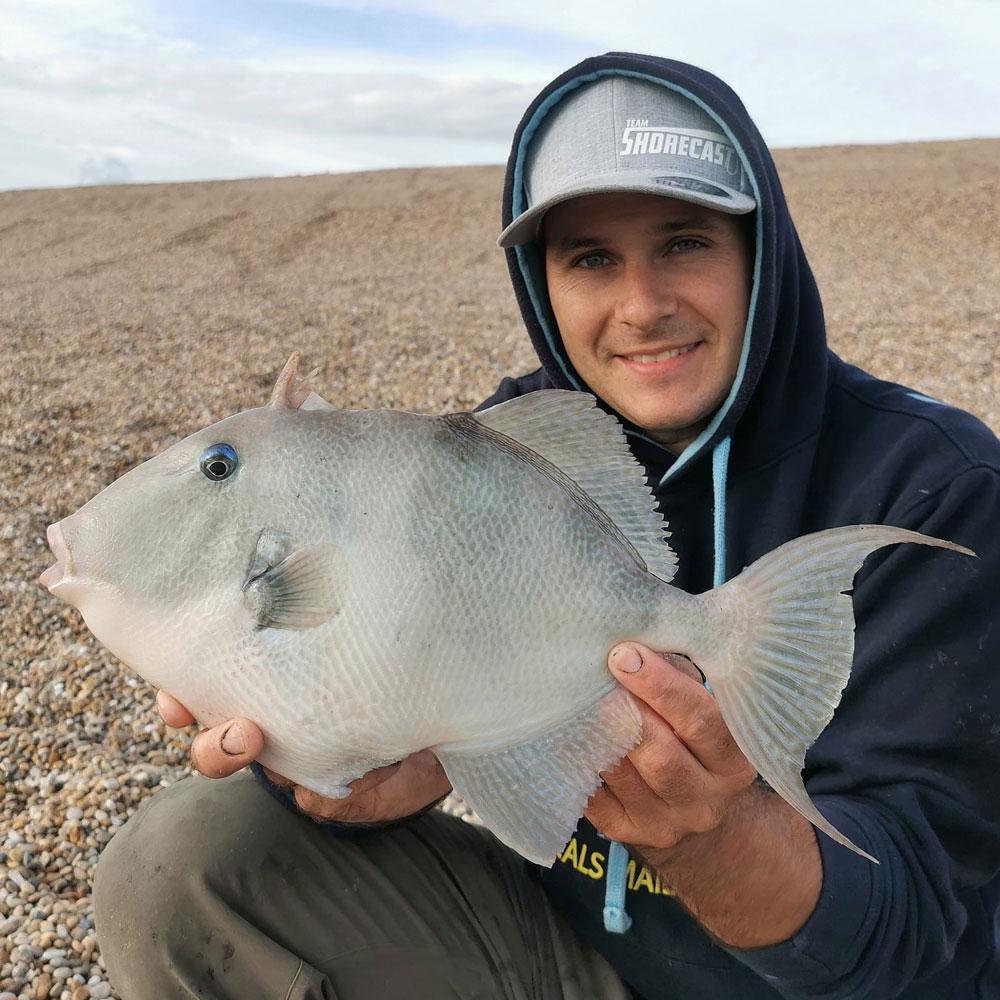 Shore Fishing for Trigger Fish - Tronixpro - TronixFishing