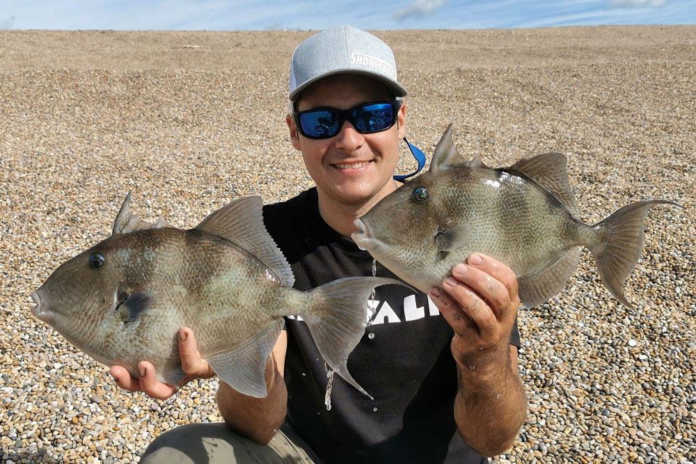 Shore Fishing for Garfish - Tronixpro - TronixFishing