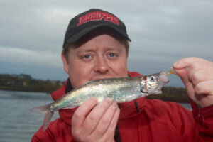 Fishing for herring